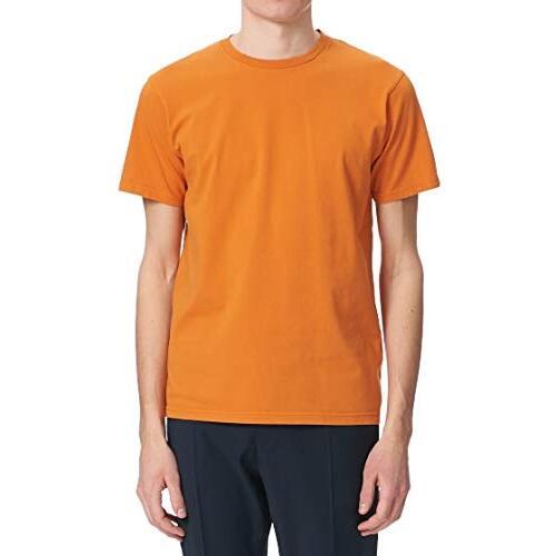 product/C/S/CS1001-BURNEDORANGE_1.jpg
