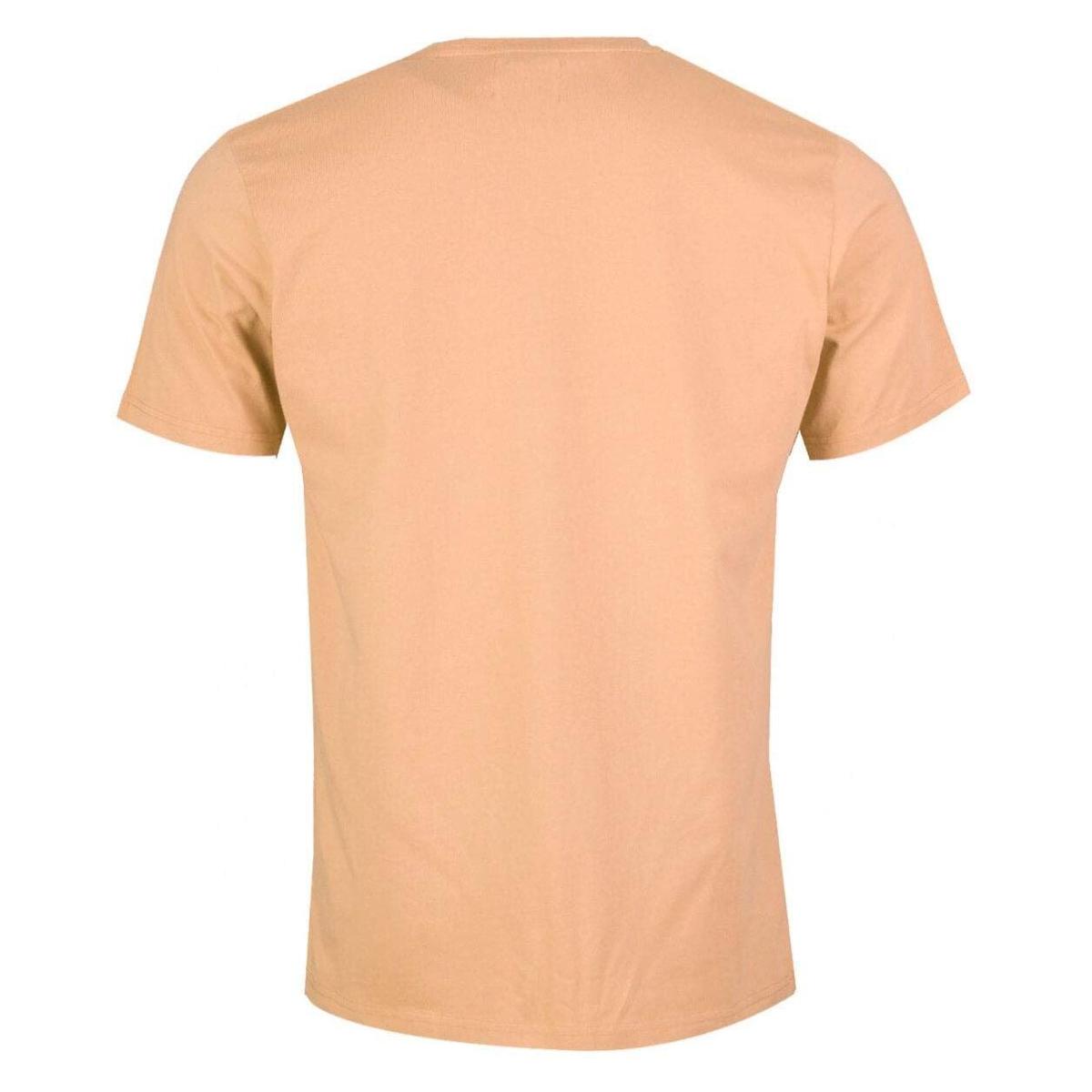 product/C/S/CS1001-PARADISEPEACH_1.jpg