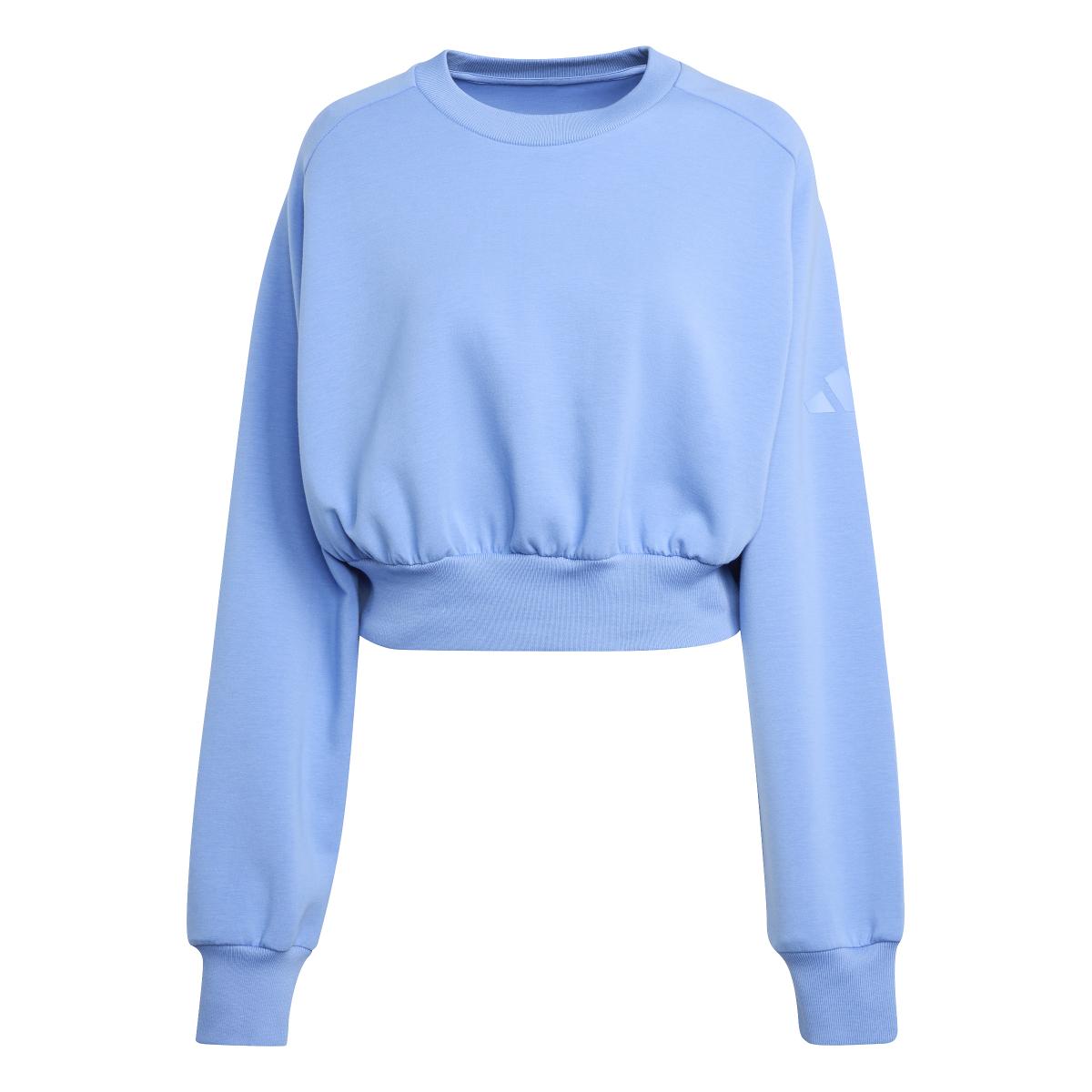product/a/d/adidas_jv9895_blufus_1.jpg