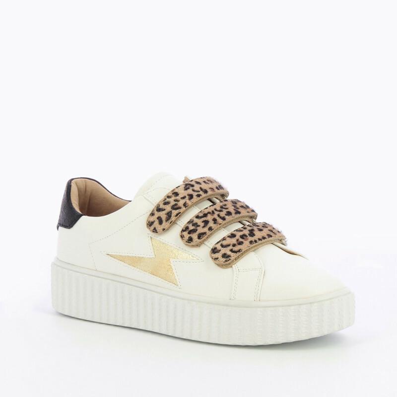 product/b/k/bk2193lp_3.jpg