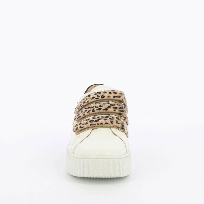 product/b/k/bk2193lp_4.jpg