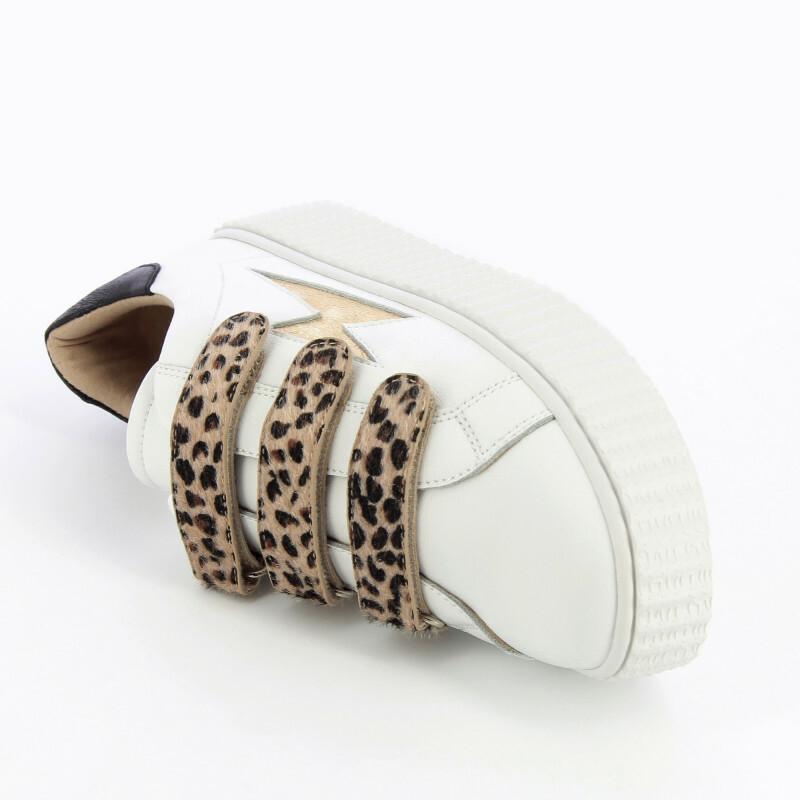 product/b/k/bk2229lp_4.jpg