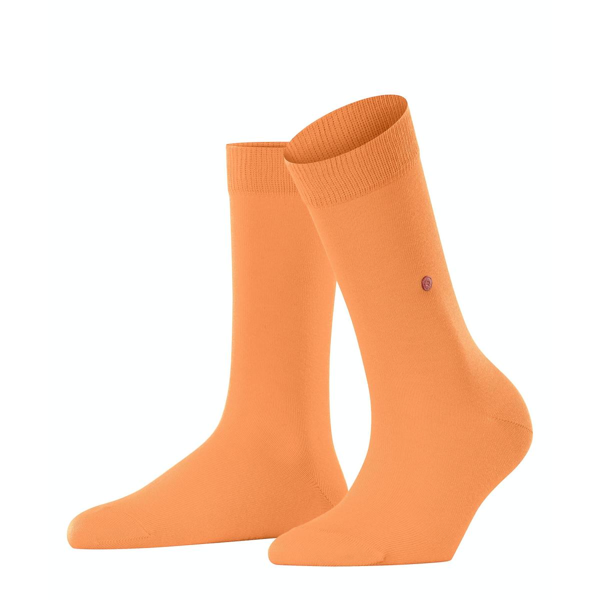 product/b/u/burlington_22005-8995_1.jpg