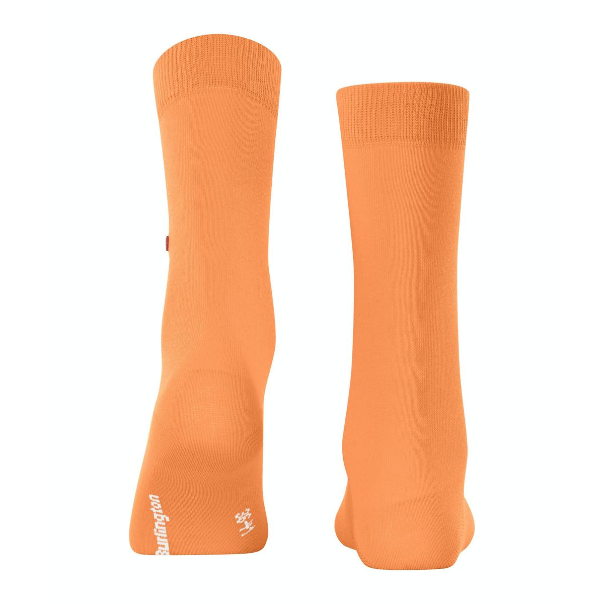 product/b/u/burlington_22005-8995_2.jpg