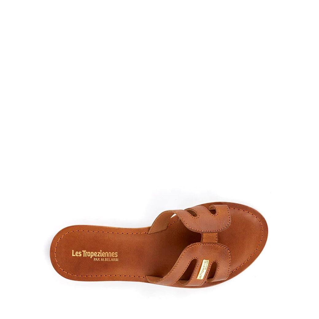 product/c/2/c24000damia_3.jpg