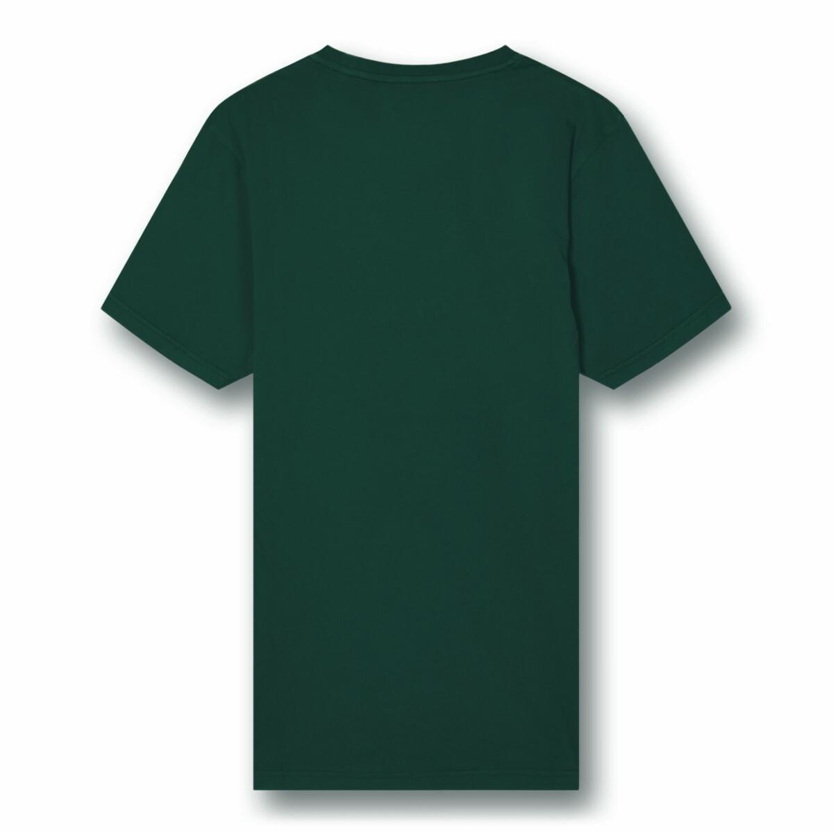 product/c/s/cs1001-emeraldgreen_2.jpg