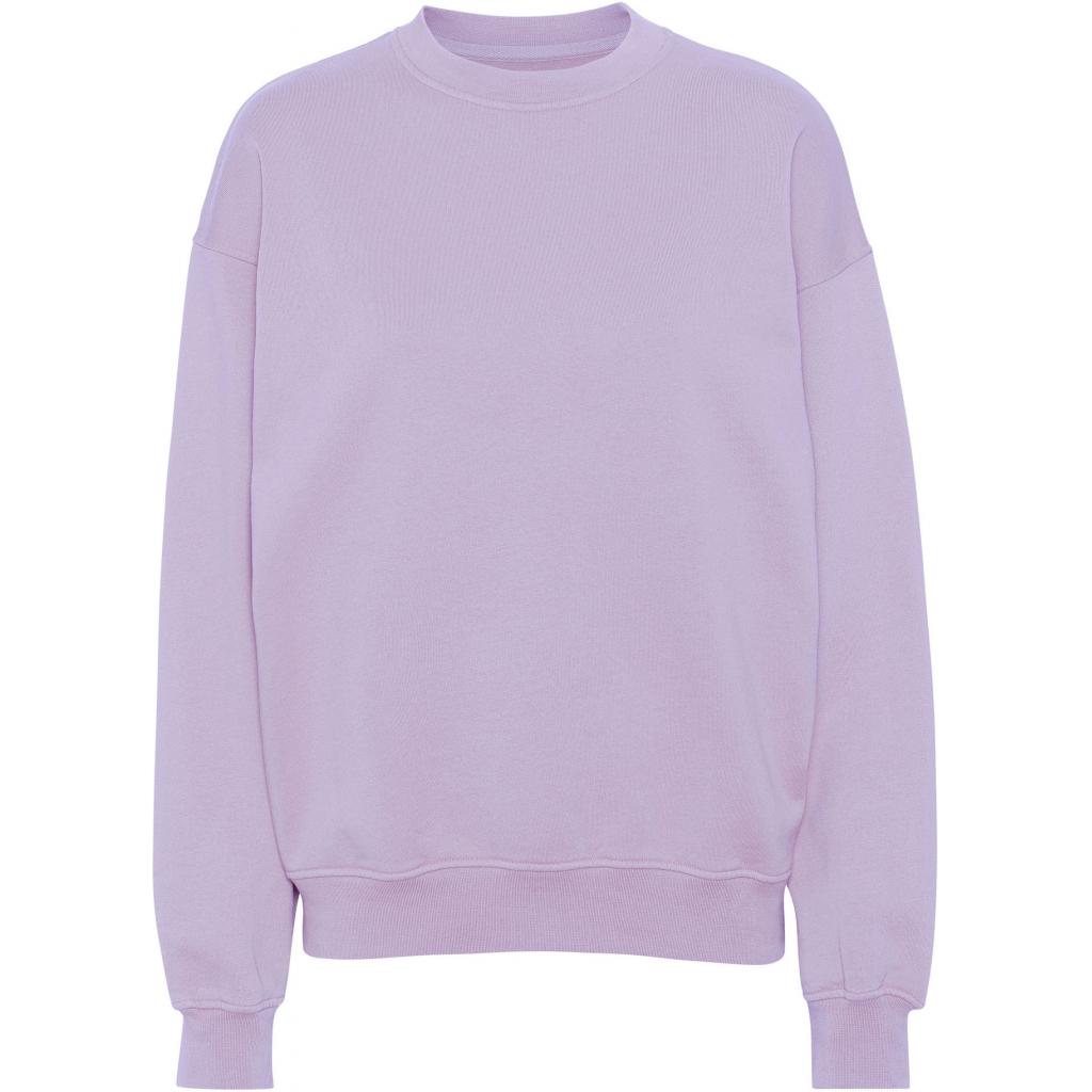 product/c/s/cs1012-softlavender.jpg