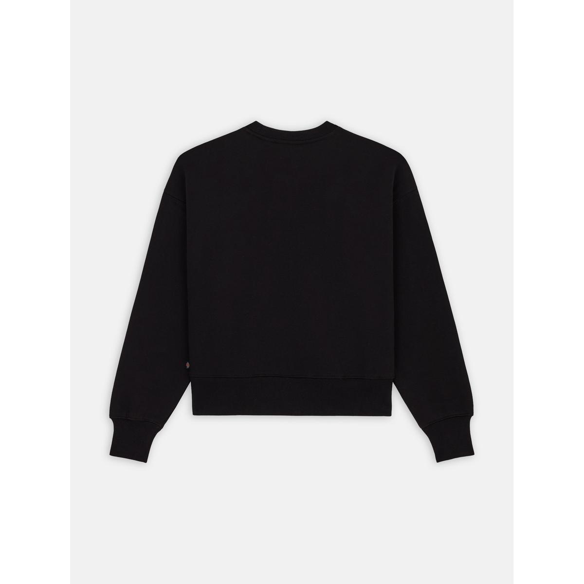 product/d/i/dickies_dk0a4xyxblk1_noir_2.jpg