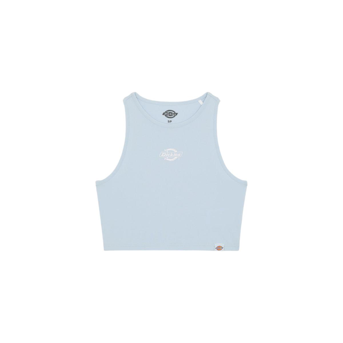 product/d/i/dickies_dk0a4y8dk541_skyway_1.jpg