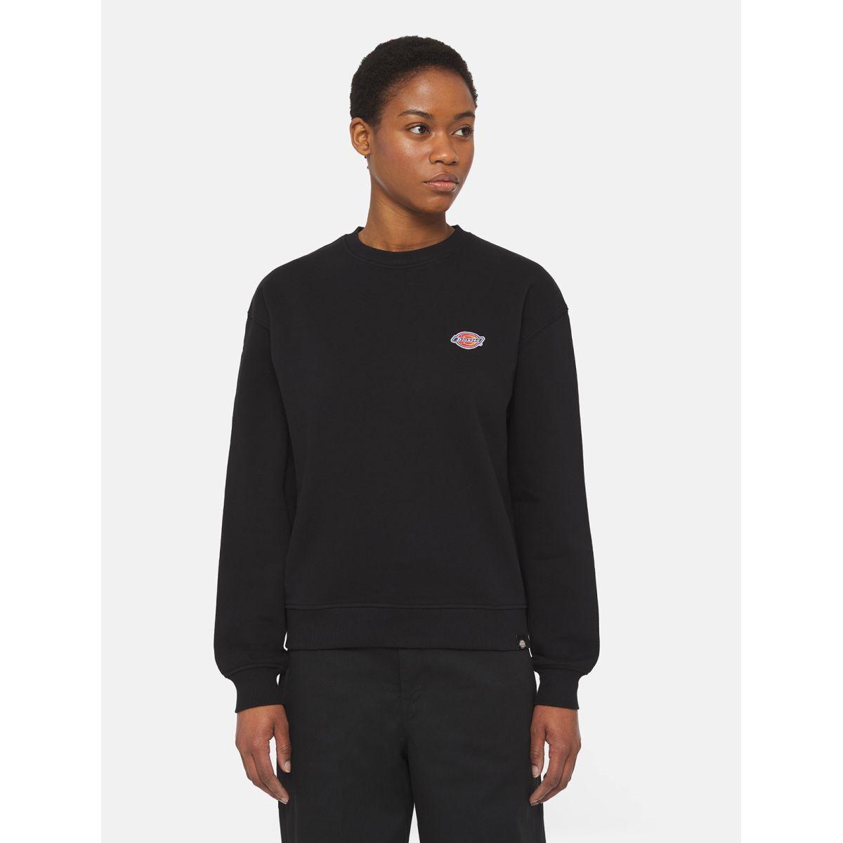 product/d/i/dickies_dk0a4yqdblk1_black_3.jpg