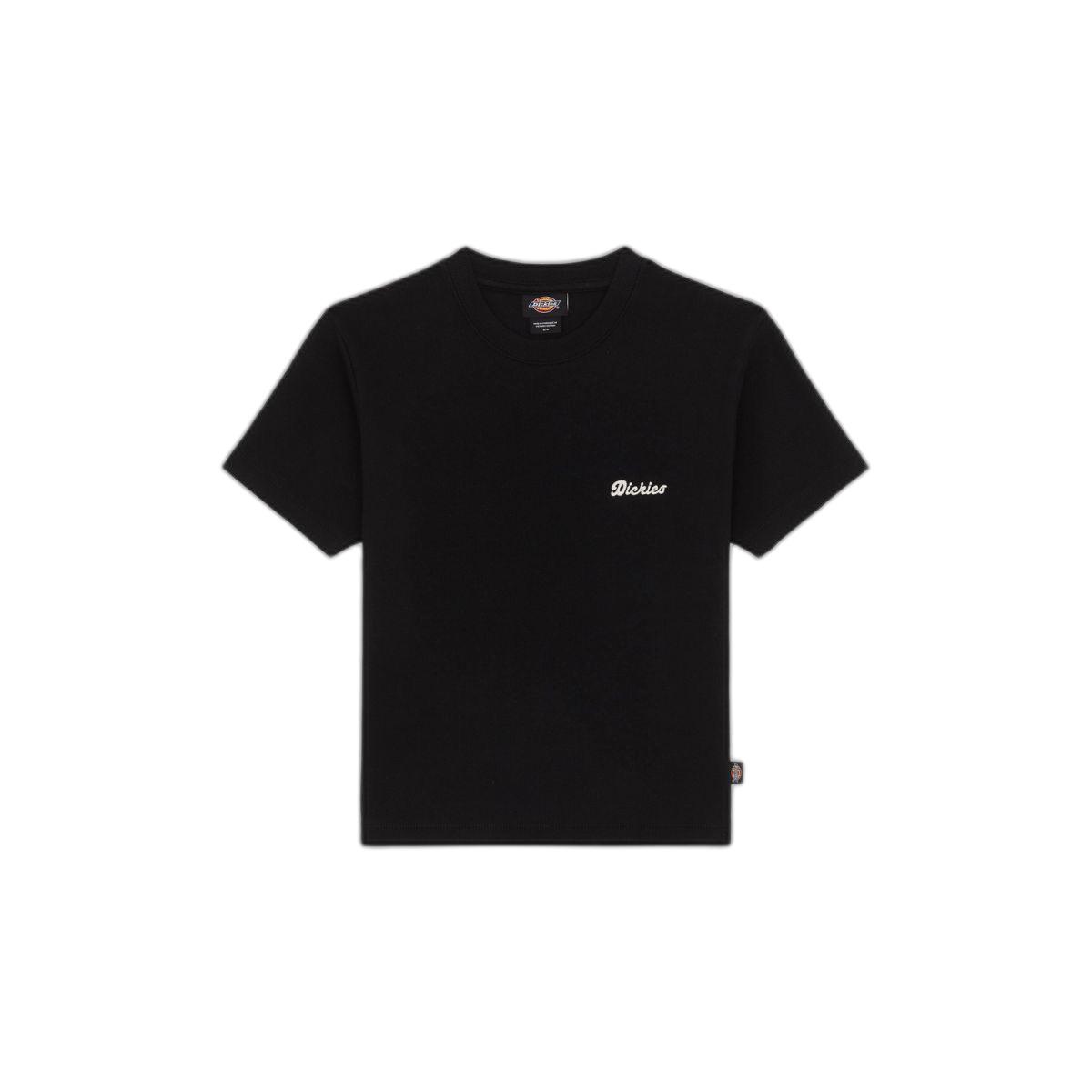 product/d/i/dickies_dk0a4z8jblk1_black_1.jpg