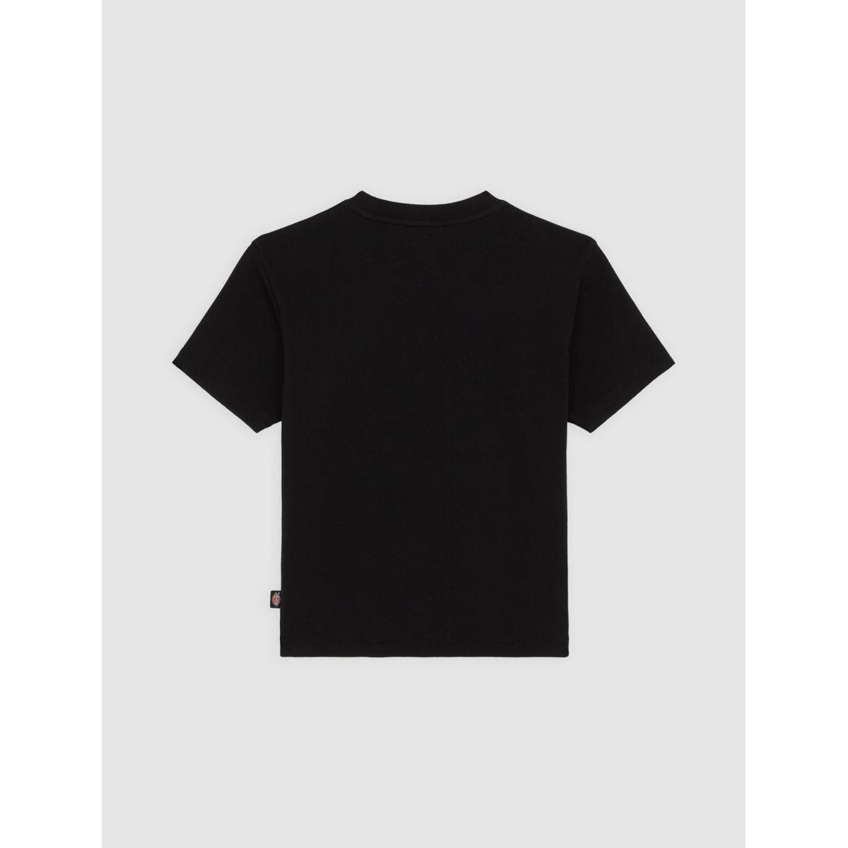 product/d/i/dickies_dk0a4z8jblk1_black_2.jpg