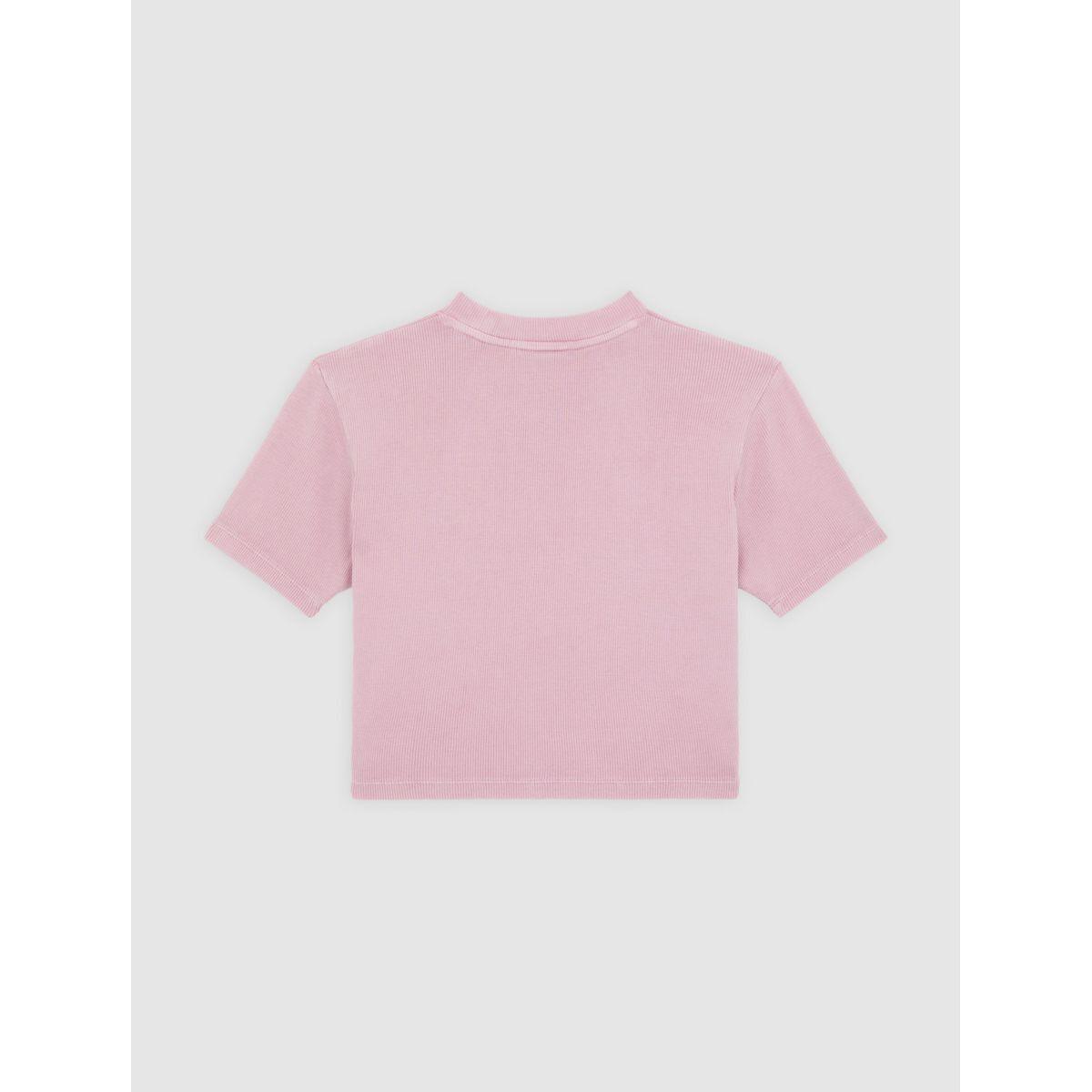 product/d/i/dickies_dk0a866fk391_lilas_2.jpg