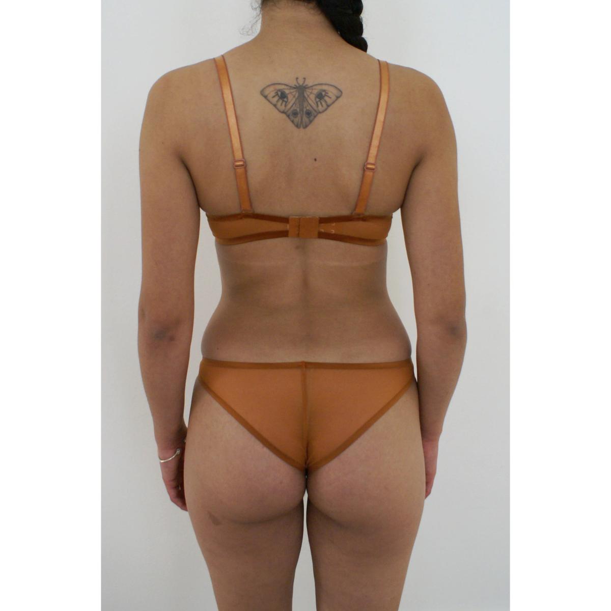 product/p/a/passionata_t225-362b_tobacco-brown_8.jpg