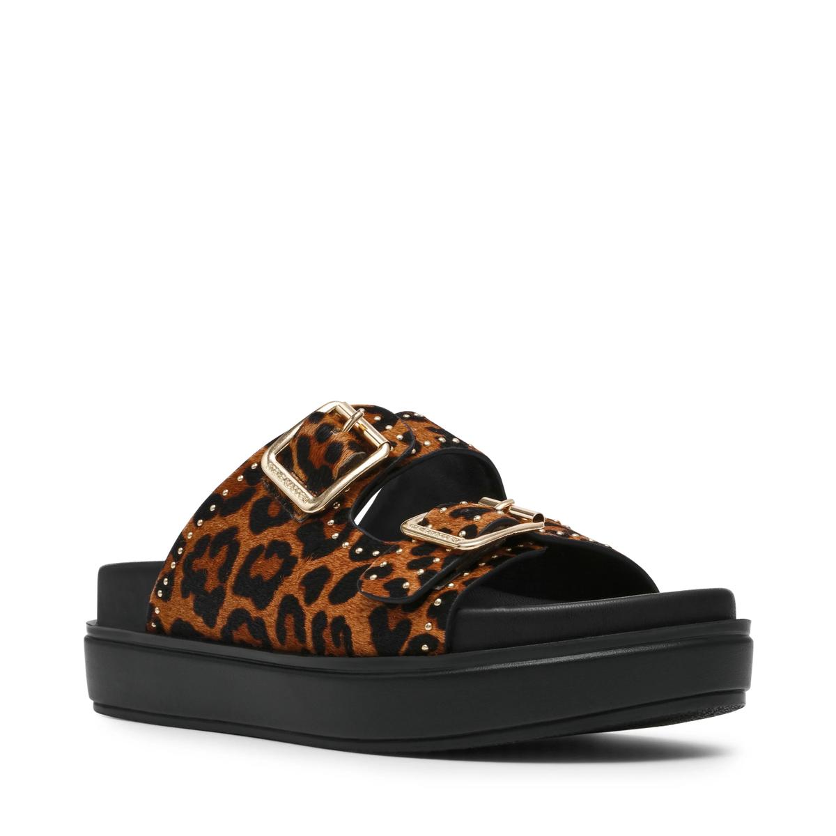 product/s/t/steve-madden_sm11003597-03001-969_leopard_2.jpg