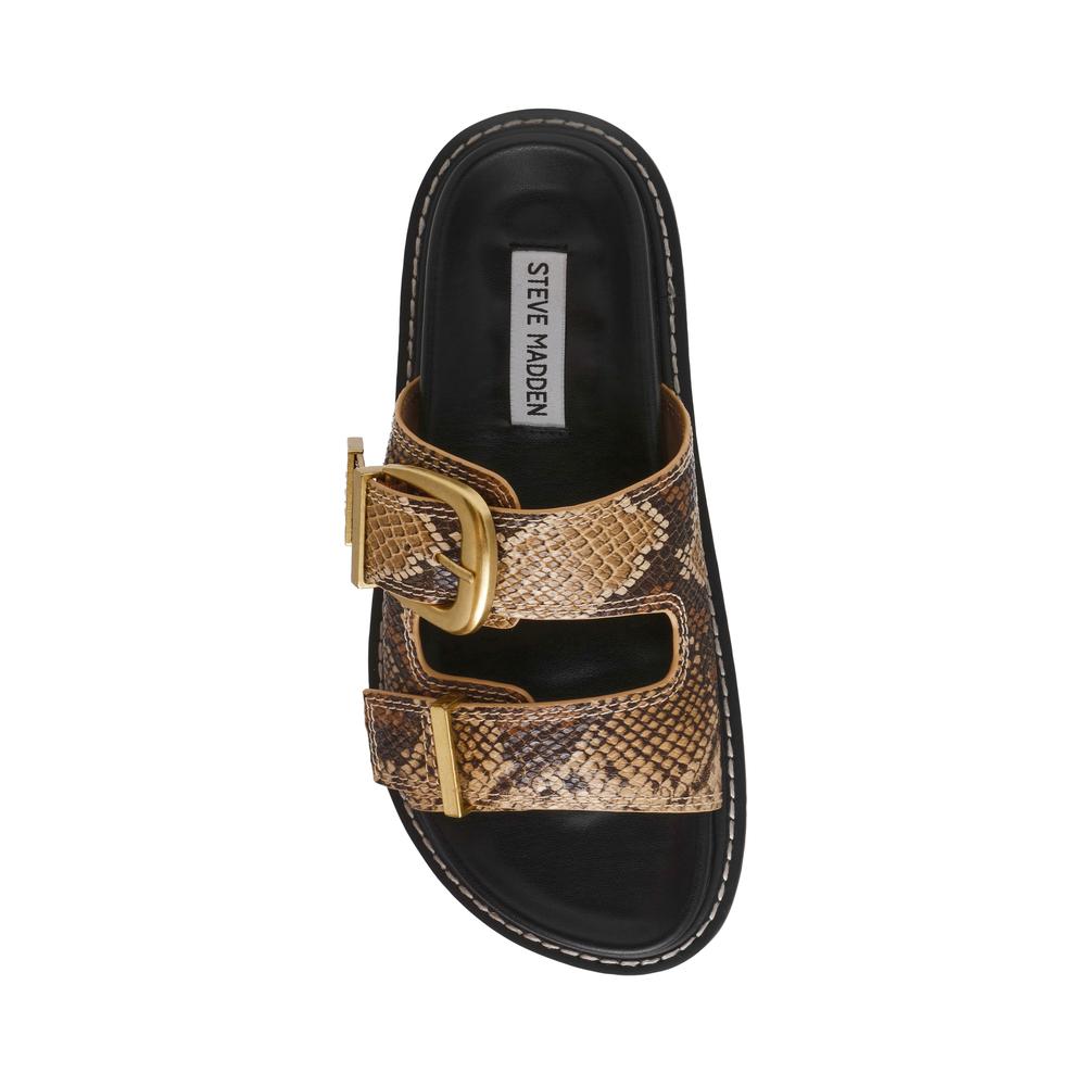 product/s/t/steve-madden_sm19000133-02002-233_brown-snake_6.jpg