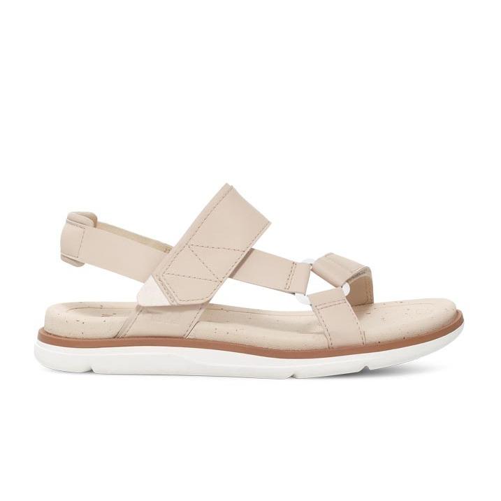 product/t/e/teva_1152570-bir-41_birch_1.jpg