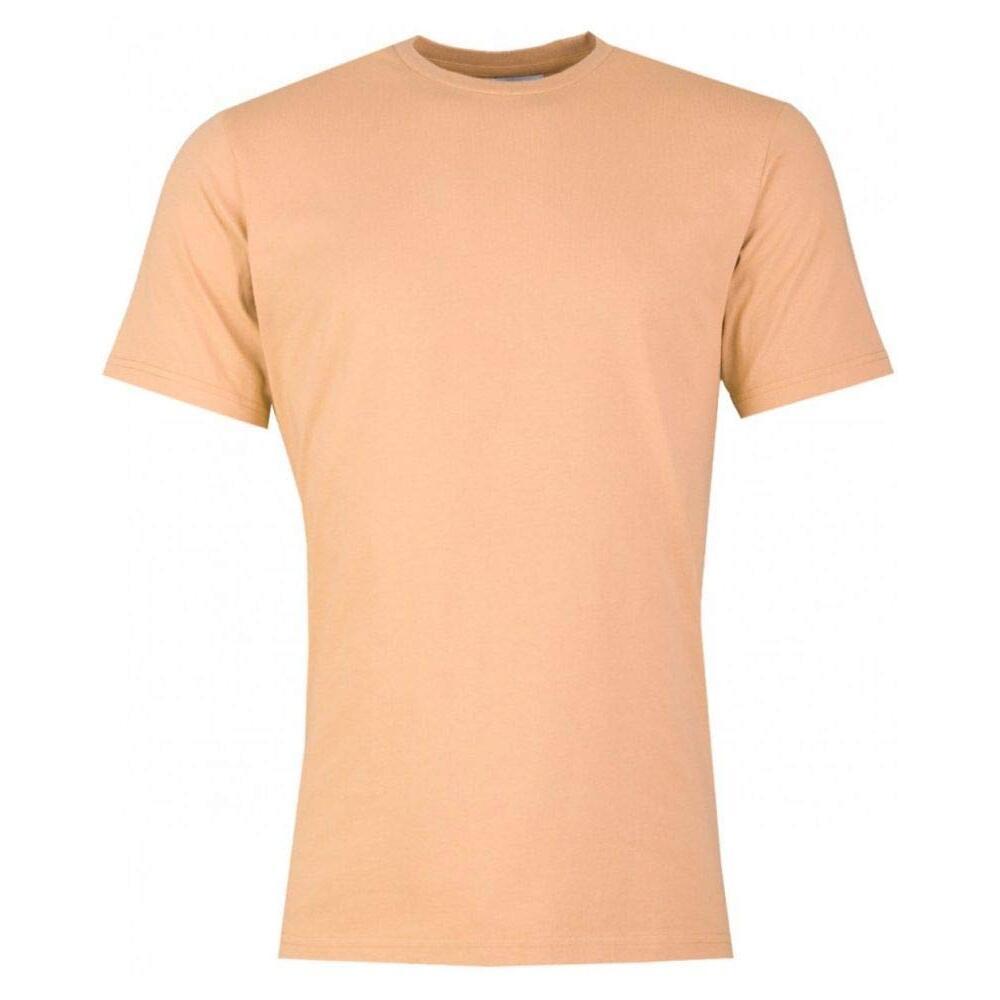 product/C/S/CS1001-PARADISEPEACH.jpg