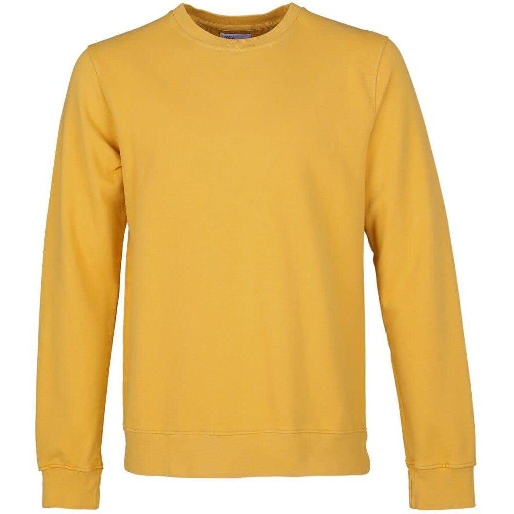 product/C/S/CS1005-BURNEDYELLOW.jpg