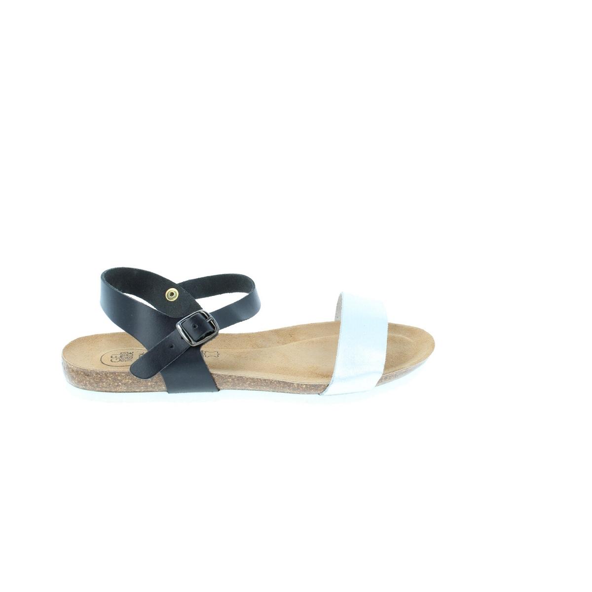 product/a/m/amoa_1004004_1.jpg