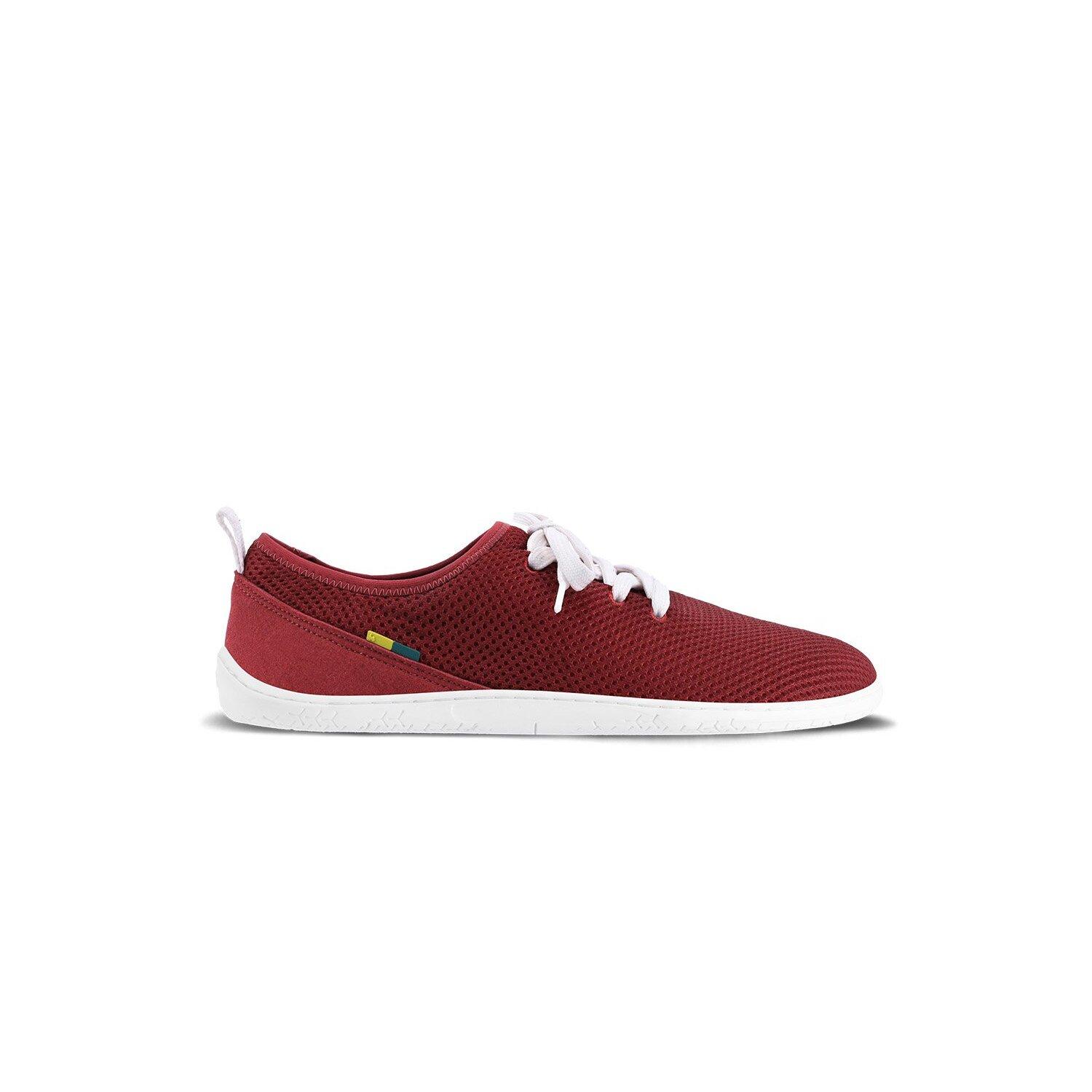 product/b/a/barebarics_50510013_wine-red_1.jpg