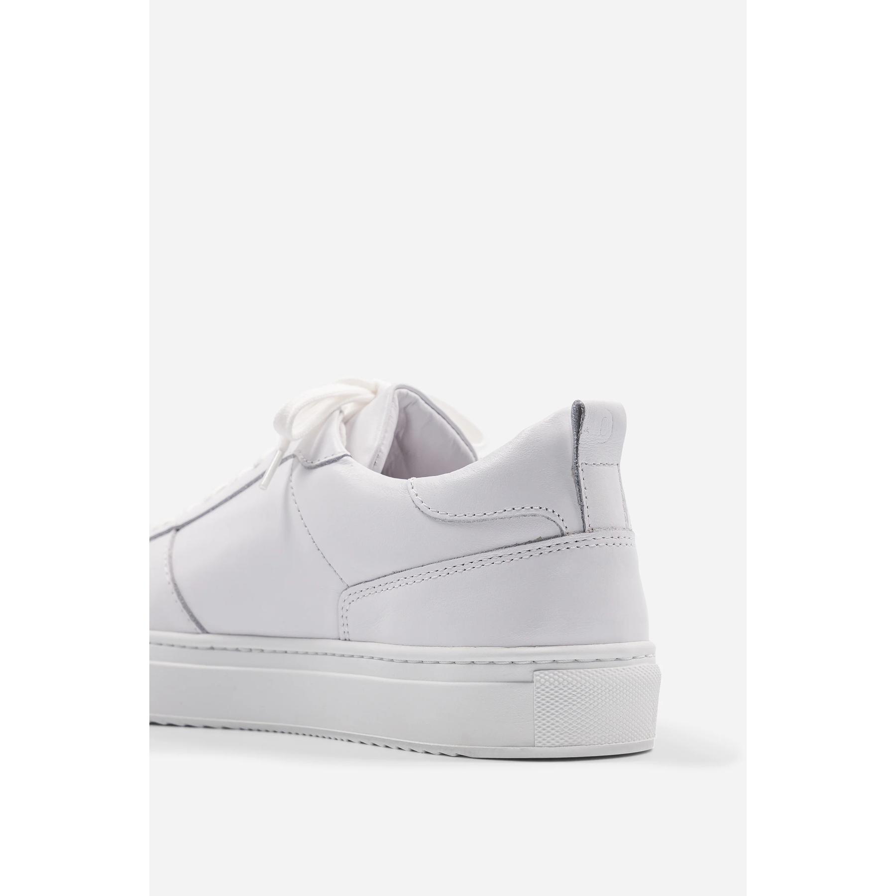 product/b/e/belledonne_b0-fw-35_full-white_2.jpg