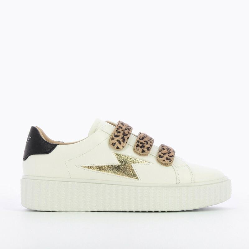 product/b/k/bk2193lp_1.jpg