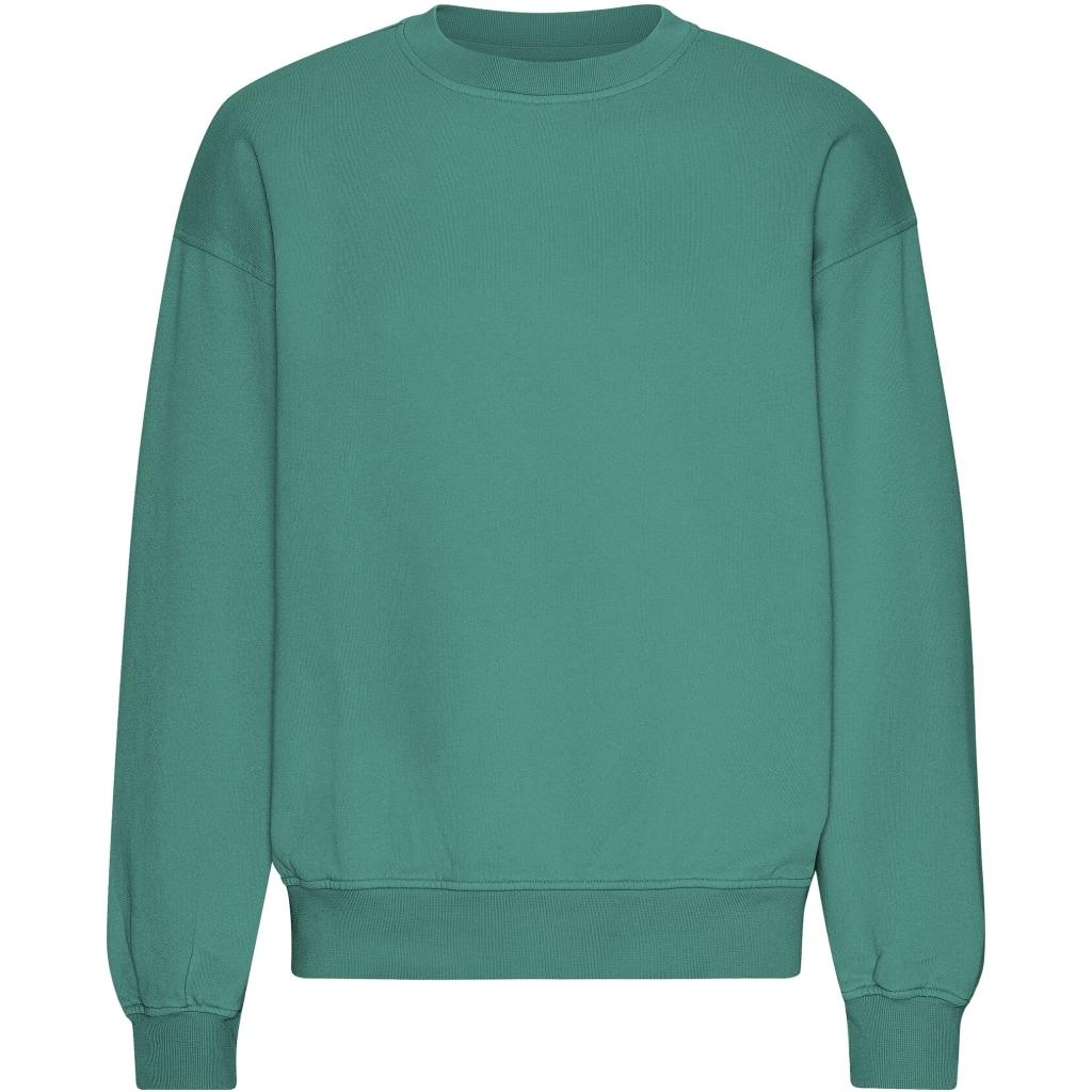 product/c/o/colorful-standard_cs1012-pinegreen.jpg