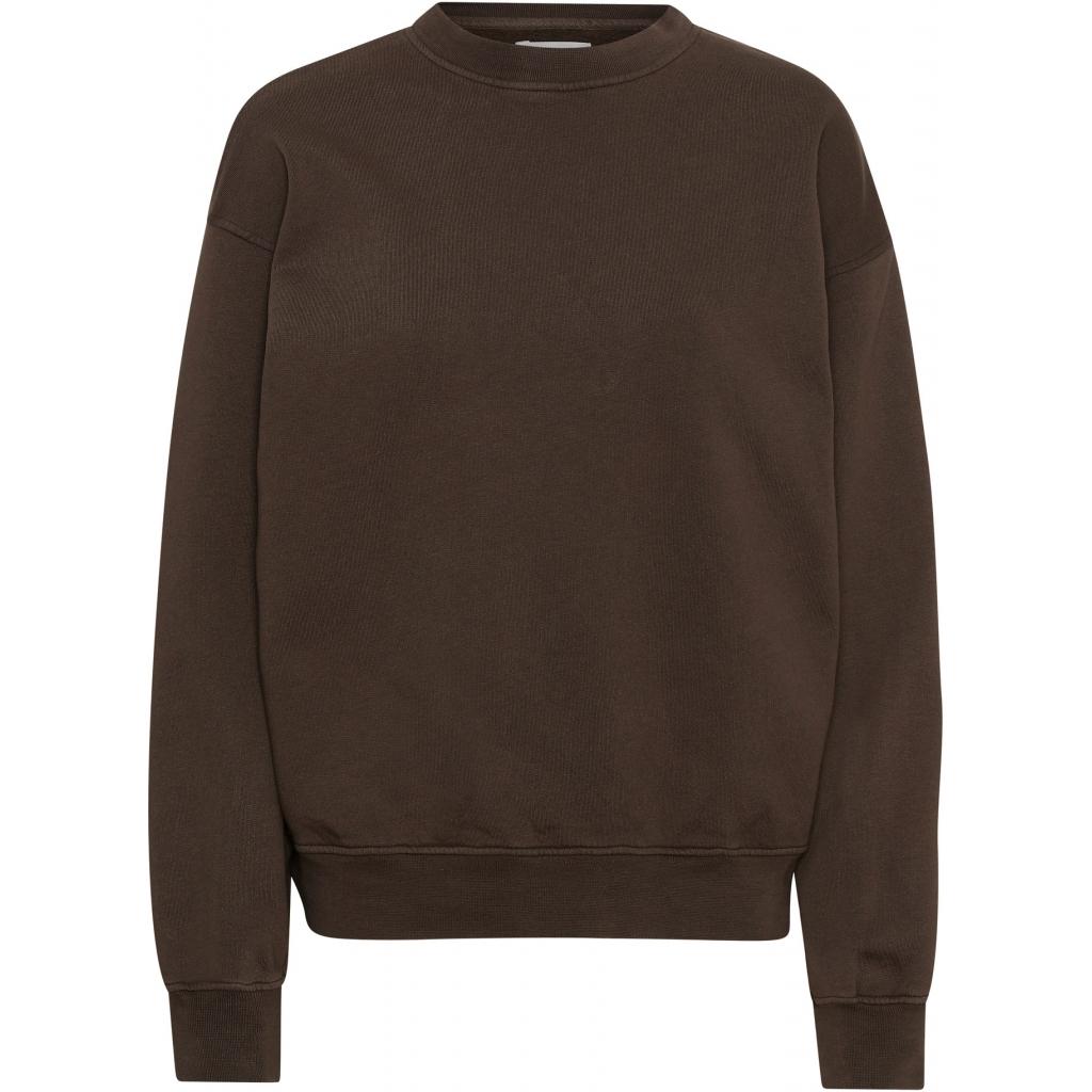 product/c/s/cs1012-coffeebrown.jpg