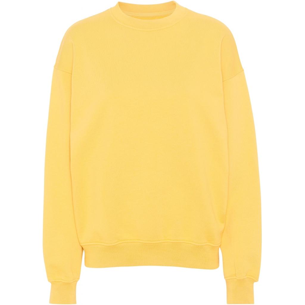 product/c/s/cs1012-lemonyellow.jpg