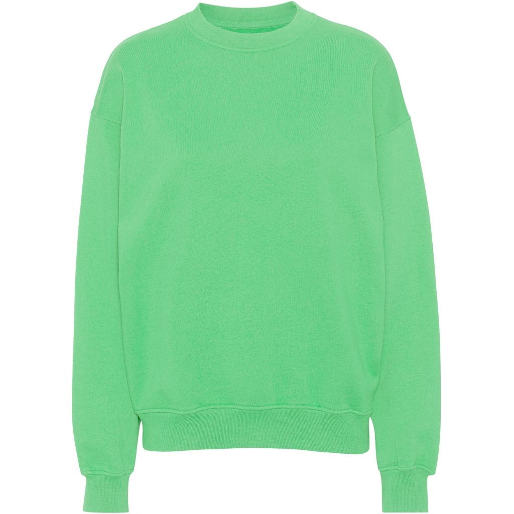 product/c/s/cs1012-springgreen.jpg