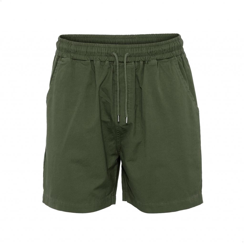 product/c/s/cs4001-seaweedgreen.jpg