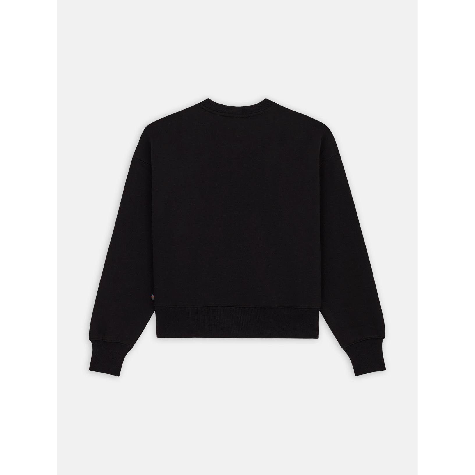 product/d/i/dickies_dk0a4xyxblk1_noir_2.jpg