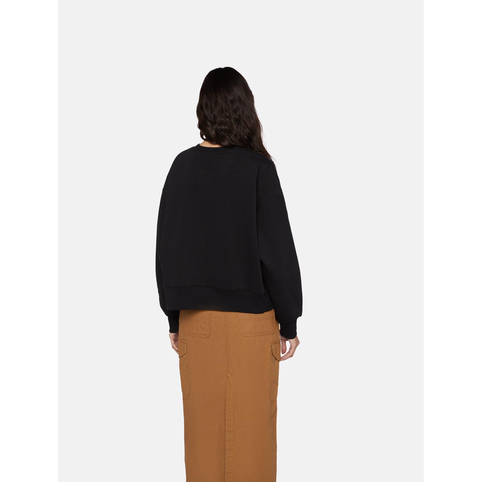 product/d/i/dickies_dk0a4xyxblk1_noir_3.jpg