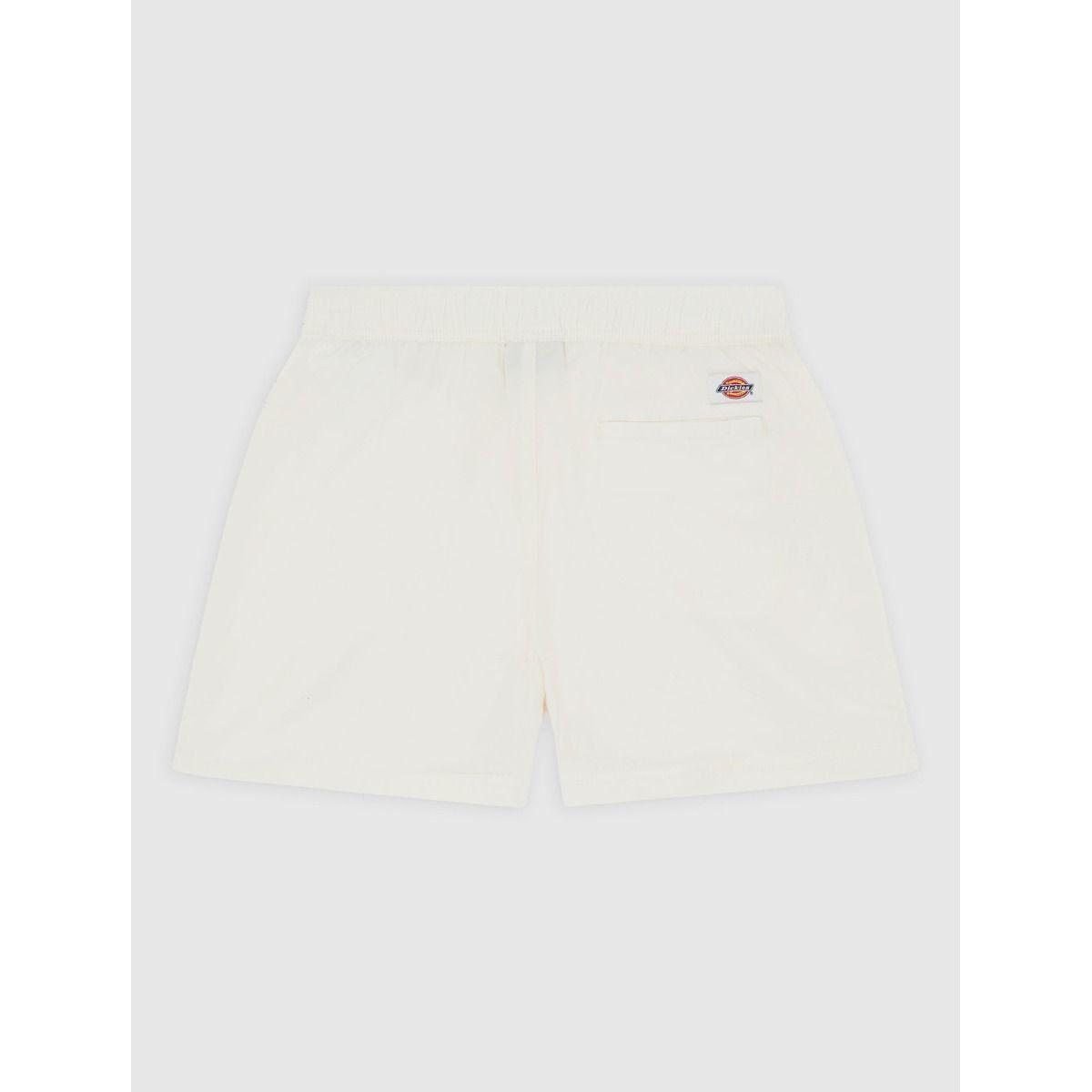 product/d/i/dickies_dk0a4y84c581_cloud_2.jpg