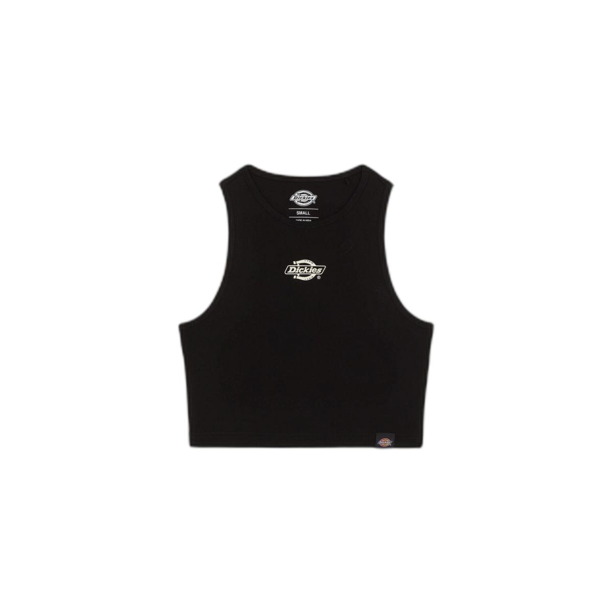 product/d/i/dickies_dk0a4y8dblk1_black_1.jpg