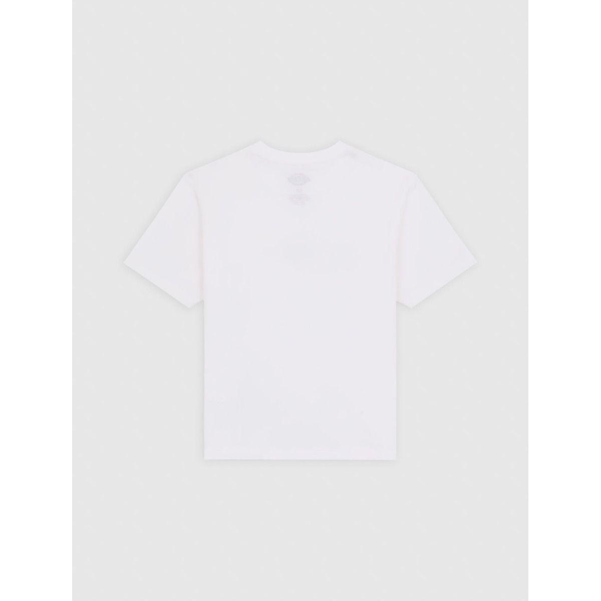 product/d/i/dickies_dk0a4zao0wh1_white_2.jpg