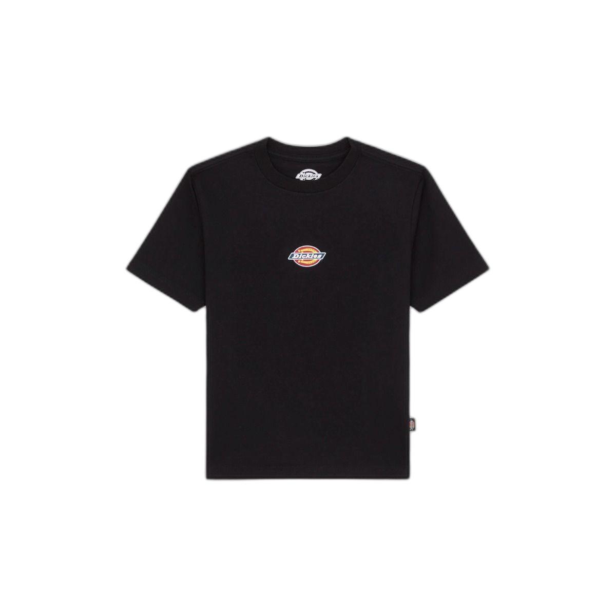 product/d/i/dickies_dk0a4zaoblk1_black_1.jpg
