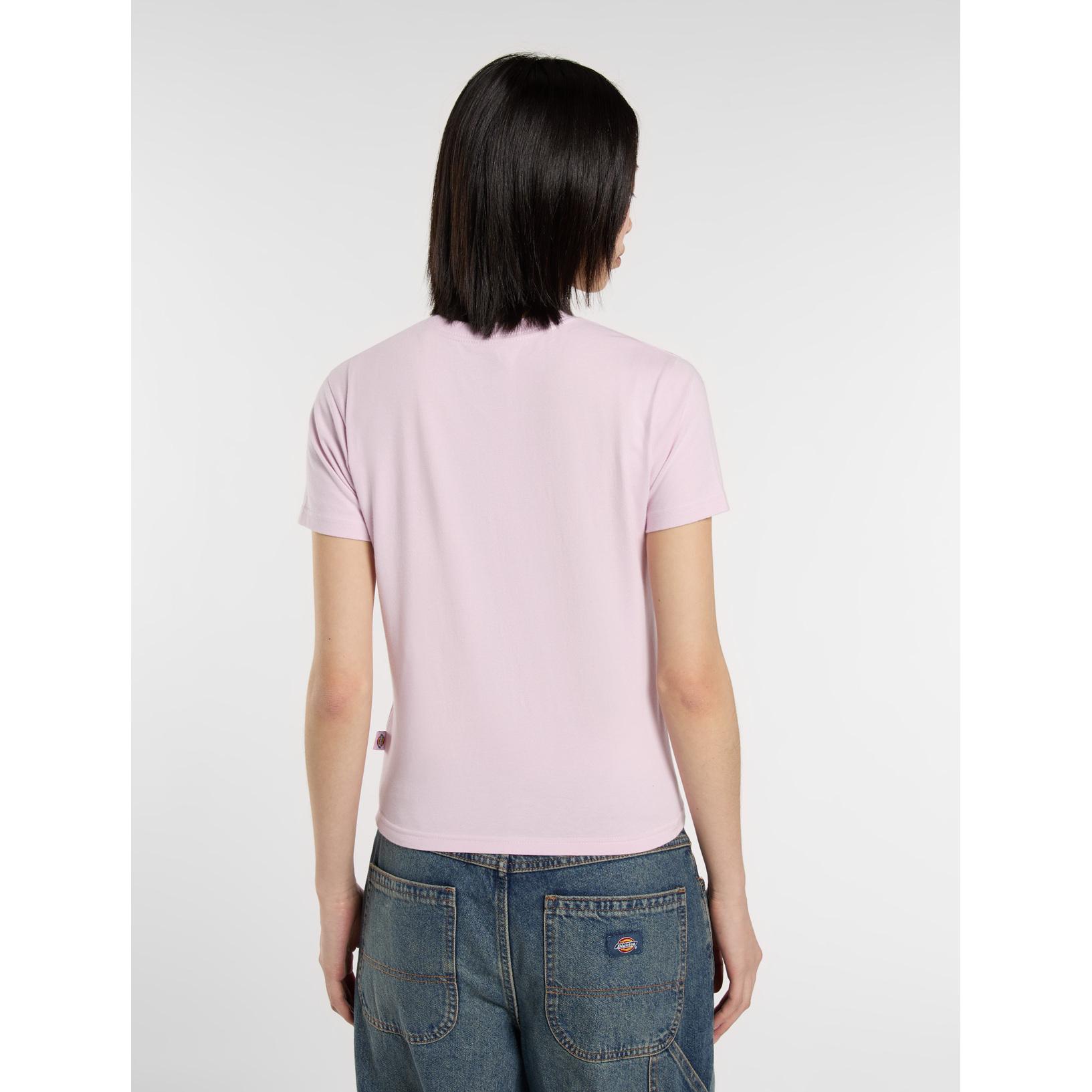 product/d/i/dickies_dk0a4zaok731_winsome-orchid_4.jpg