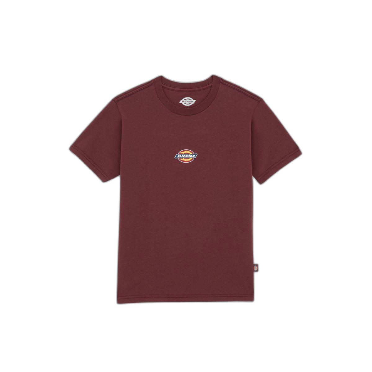 product/d/i/dickies_dk0a4zaol161_andorra_1.jpg