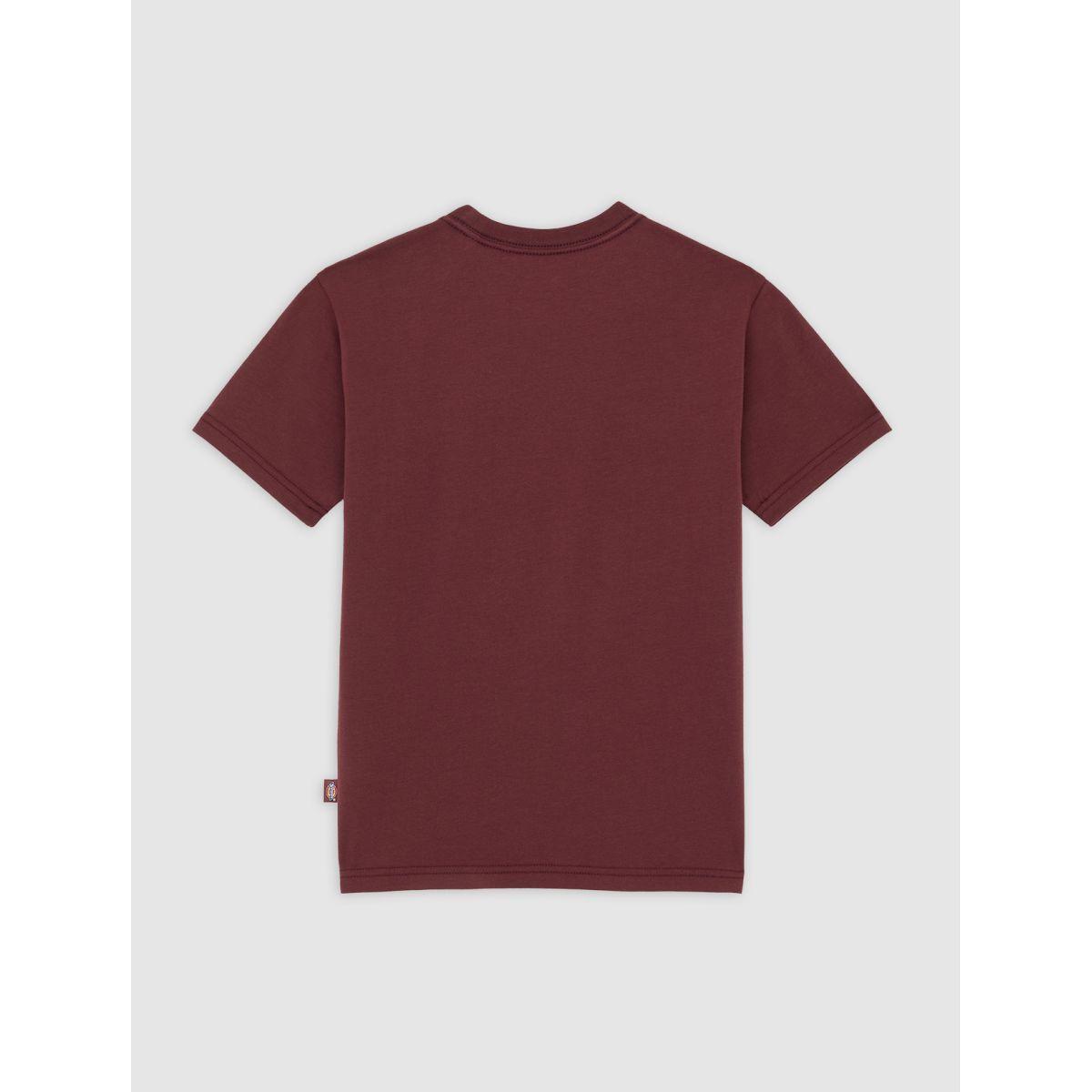 product/d/i/dickies_dk0a4zaol161_andorra_2.jpg
