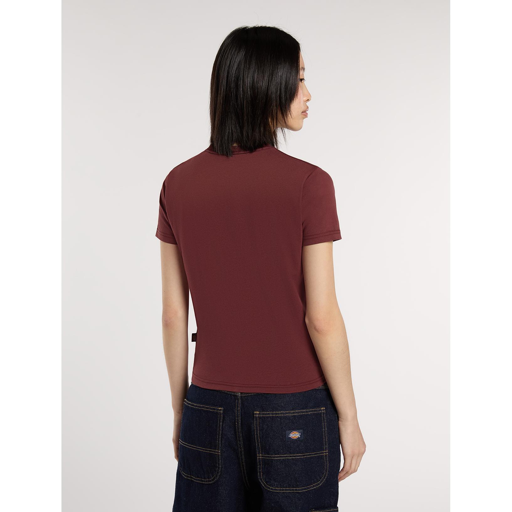 product/d/i/dickies_dk0a4zaol161_andorra_4.jpg