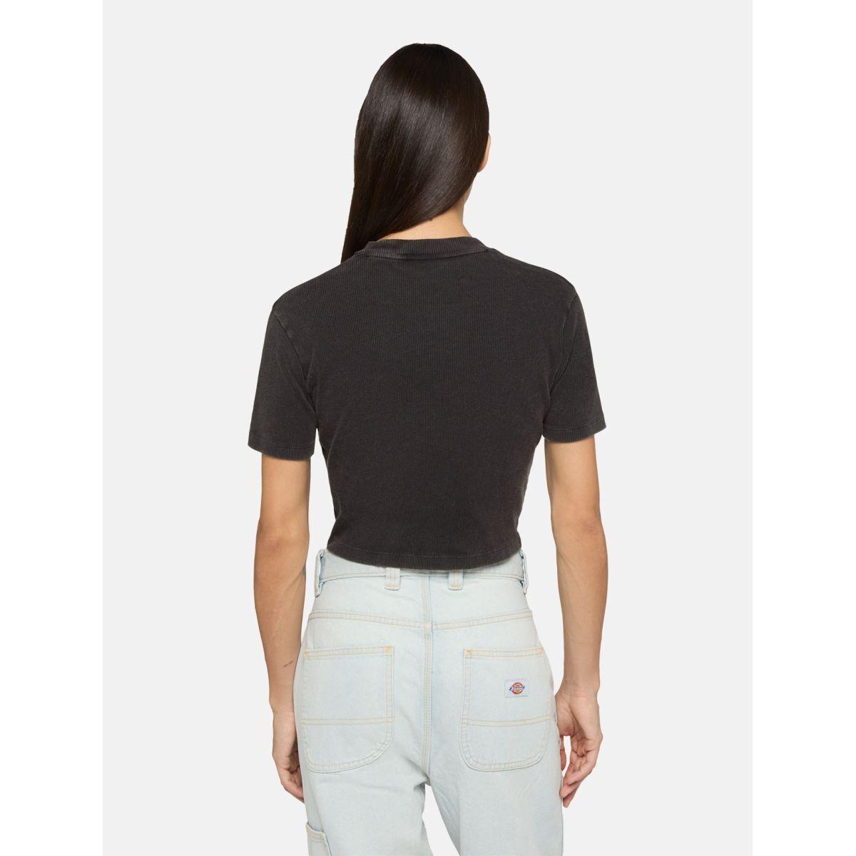 product/d/i/dickies_dk0a866fblk1_black_4.jpg