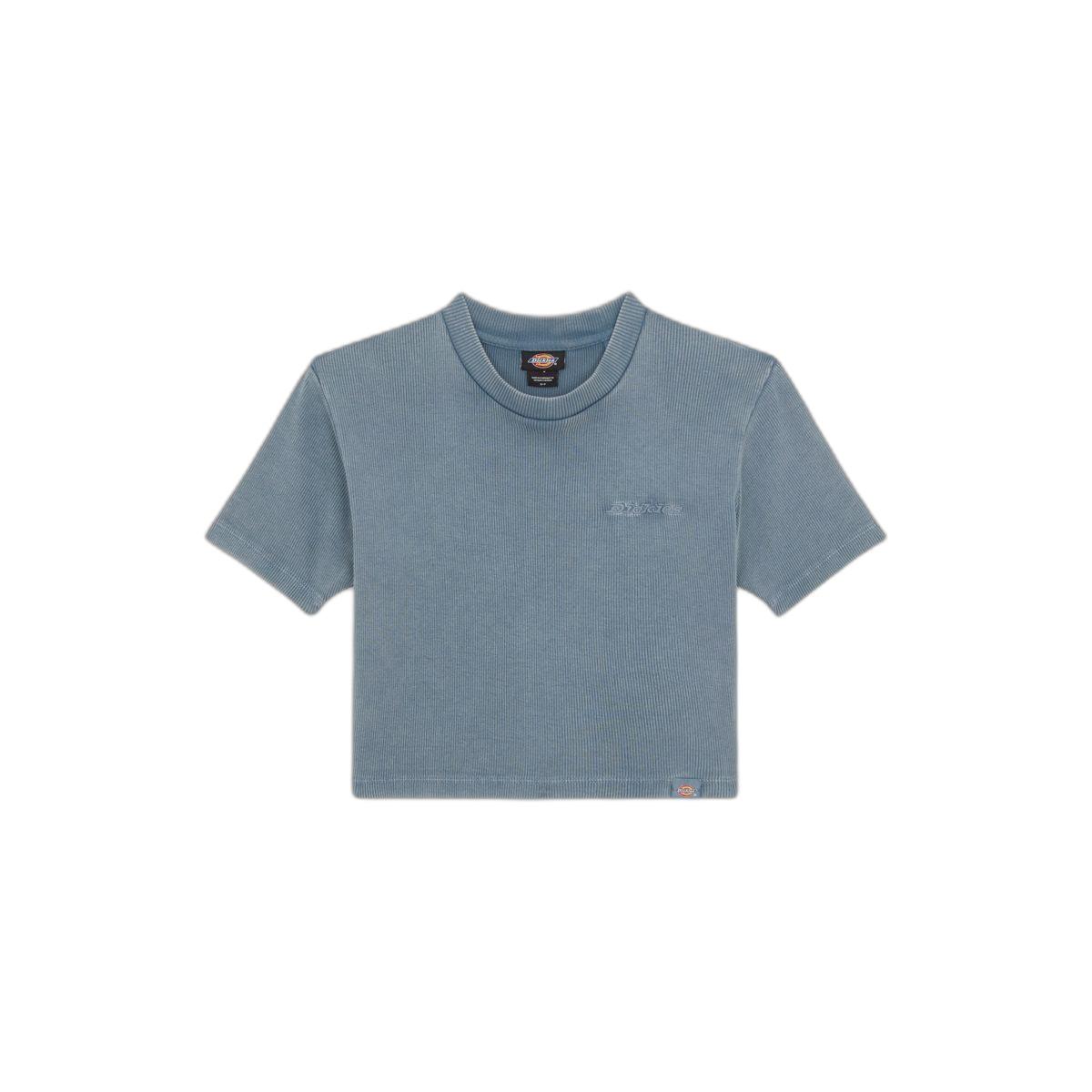 product/d/i/dickies_dk0a866fg701_stormy-weather_1.jpg