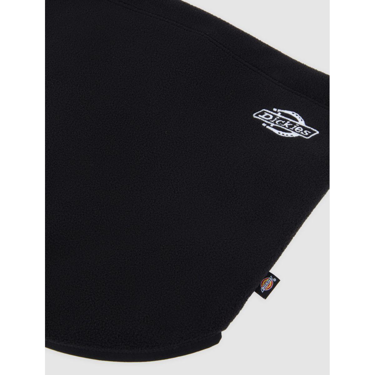 product/d/i/dickies_dk0a87p9blk1_black_3.jpg