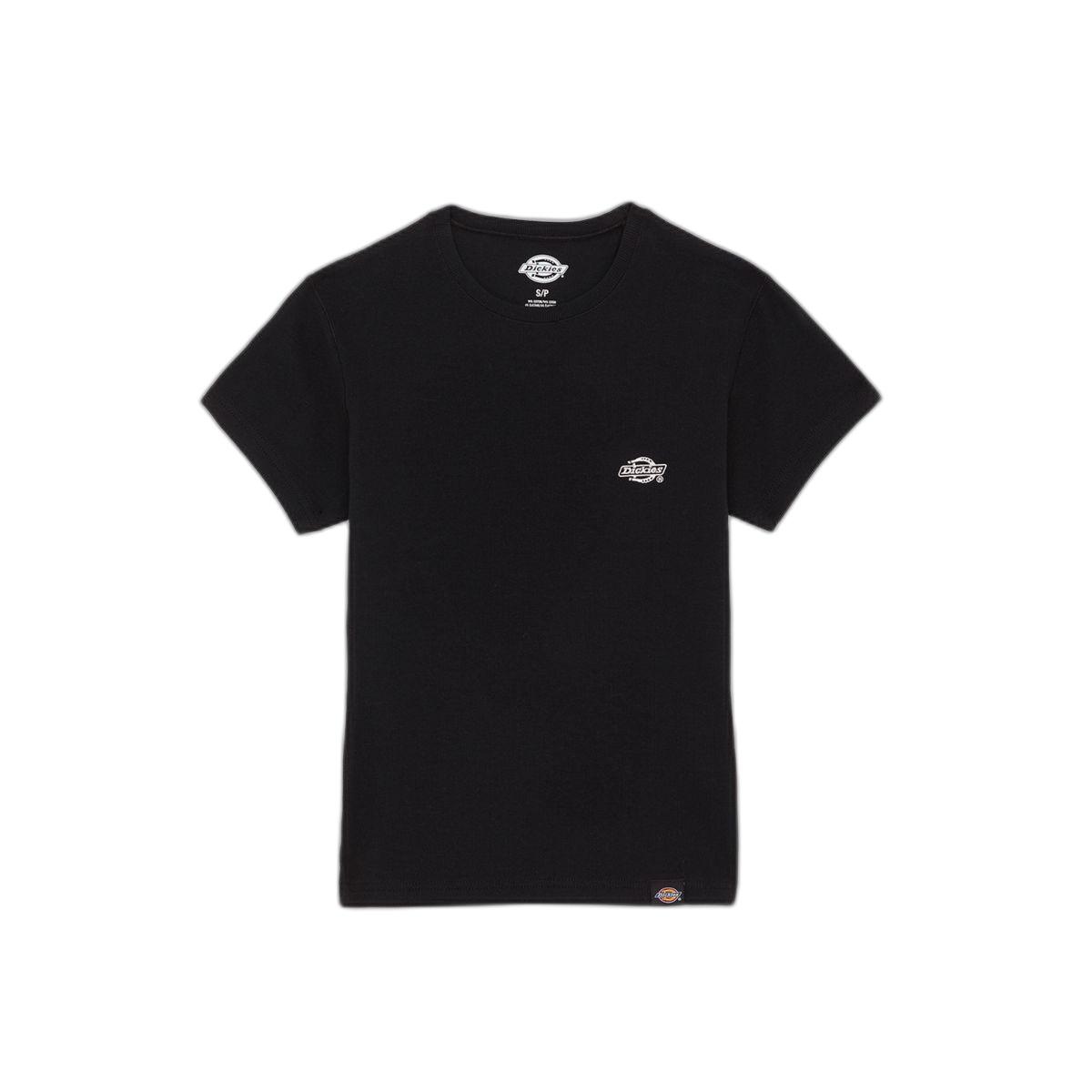 product/d/i/dickies_dk0a87qbblk1_black_1.jpg