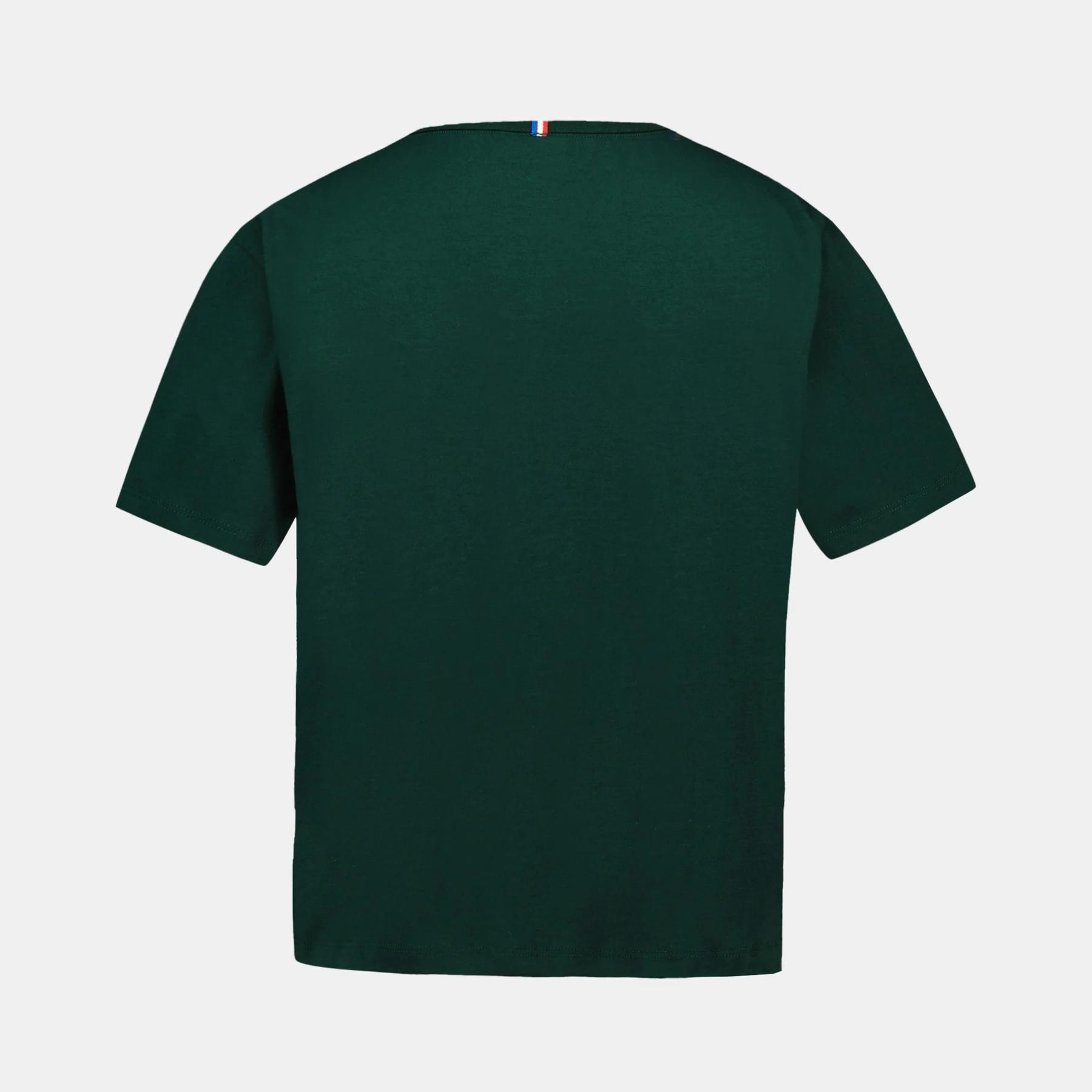 product/l/e/le-coq-sportif_2510072_scarab_2.jpg