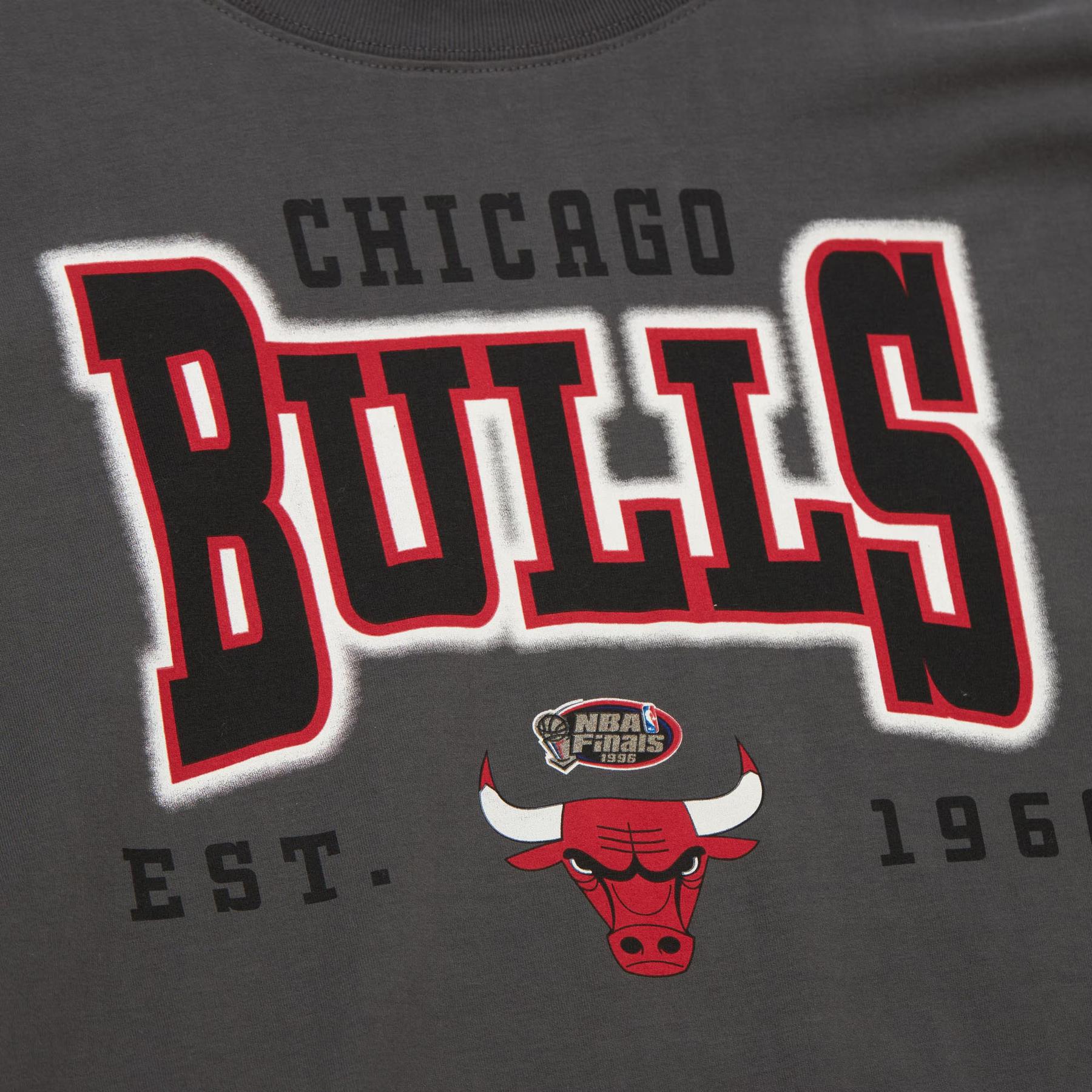 product/m/i/mitchell-ness_sste7900-cbuyypppgrey_grey_3.jpg