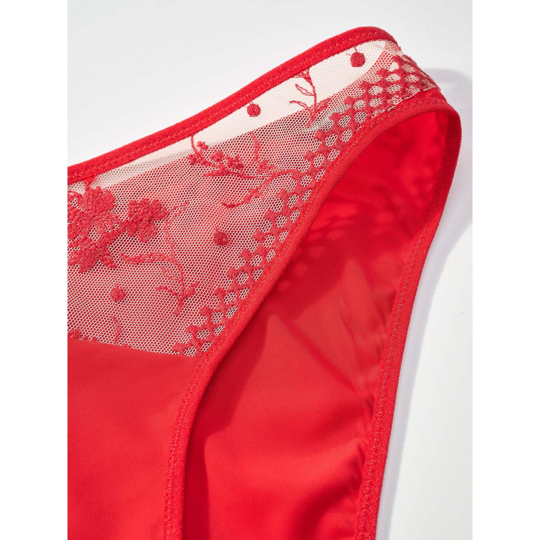 product/p/a/passionata_t105-0373_passionata-red_2.jpg