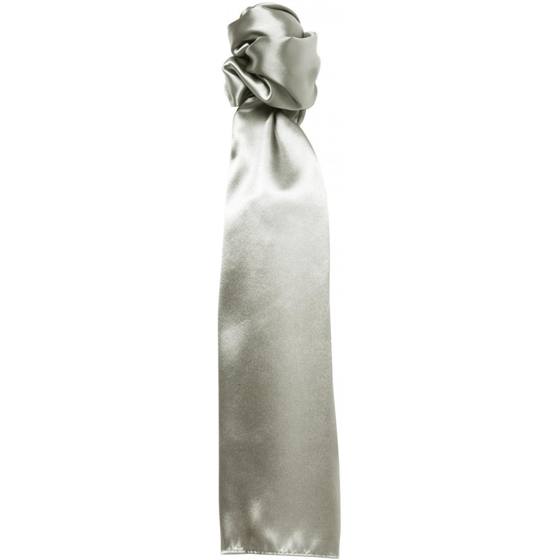 product/p/r/premier_pb30-silver.jpg